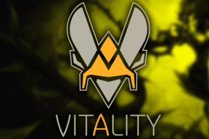 Team Vitality débloque 2,5 Millions d'euros pour son développement !